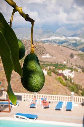 Villa Zorro Fugaz En Puntalara Nerja Buitenkant foto